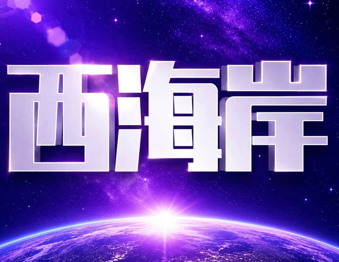 西海岸国际